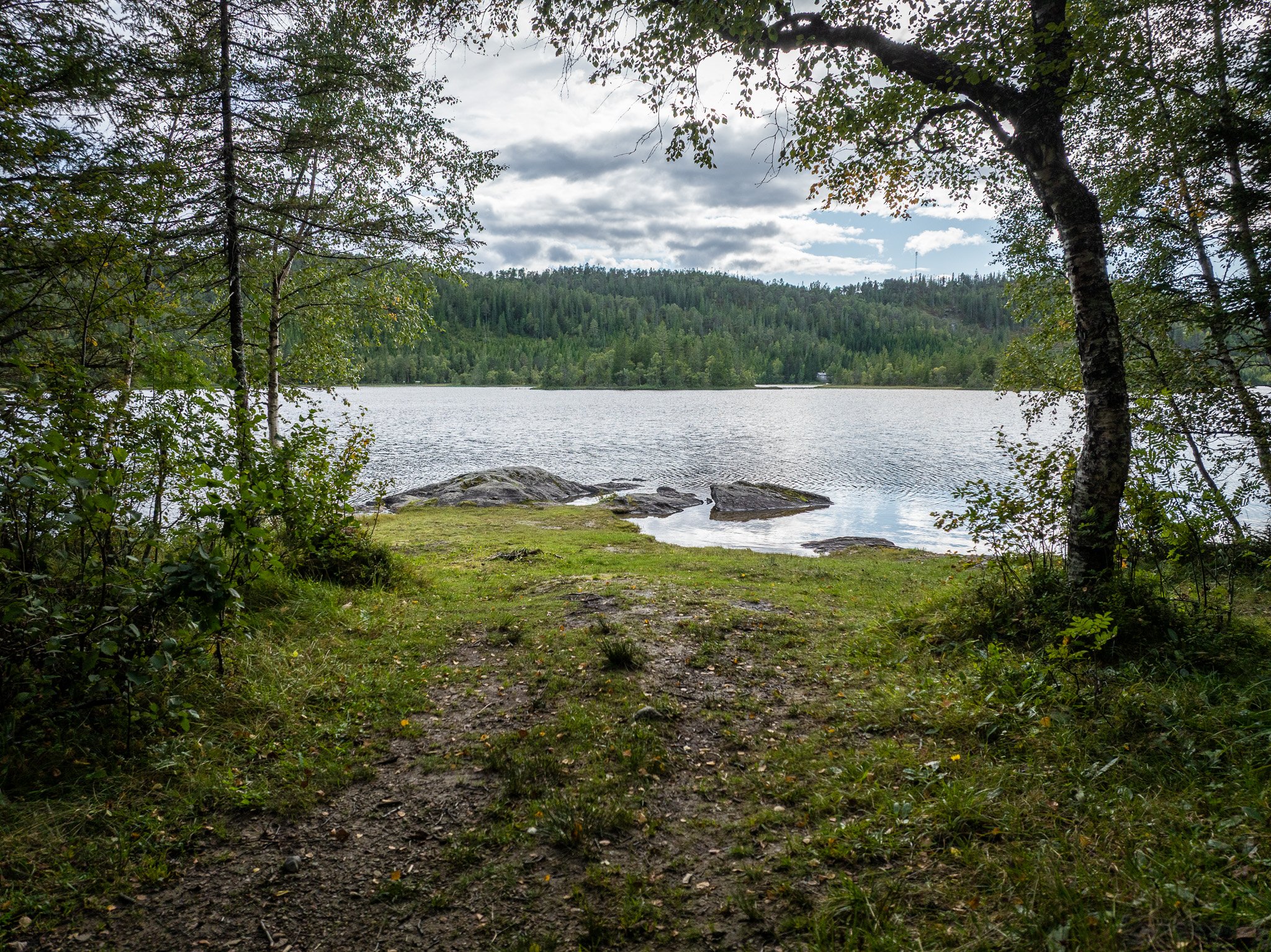 Svaberg og gress ned mot et skogsvann, sett fra skogkanten