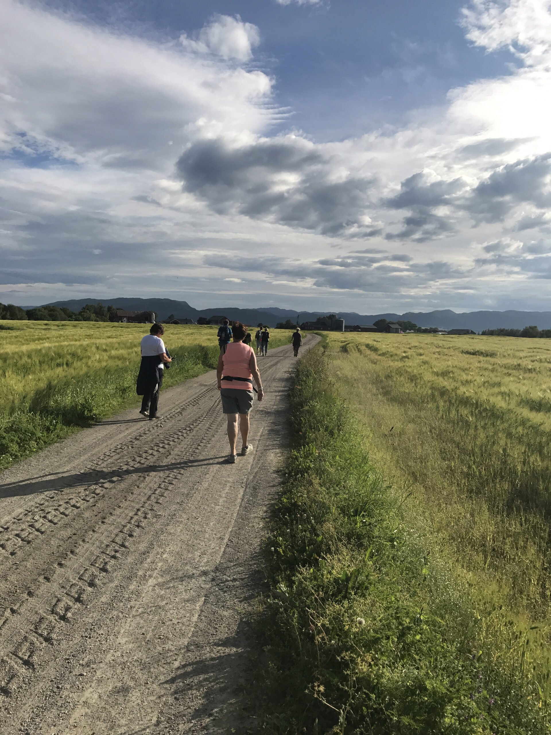 Vandrere på grusvei mellom kornåkre