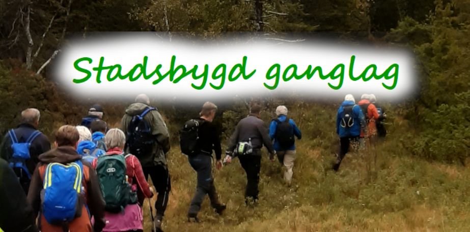 Stadsbygd ganglag på tur gjennom lyngen, med logoteksten Stadsbygd ganglag