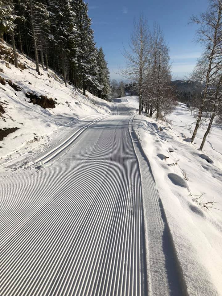 Nypreparert skiløype gjennom snødekt skog